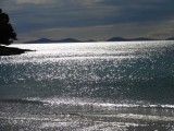 DSC05603